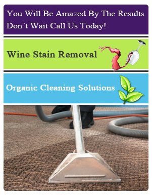 Carpet Stain Removal