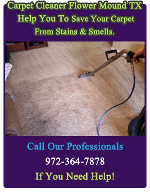 Professional Carpet Cleaners